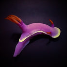 Hypselodoris apolegma - Purple slug