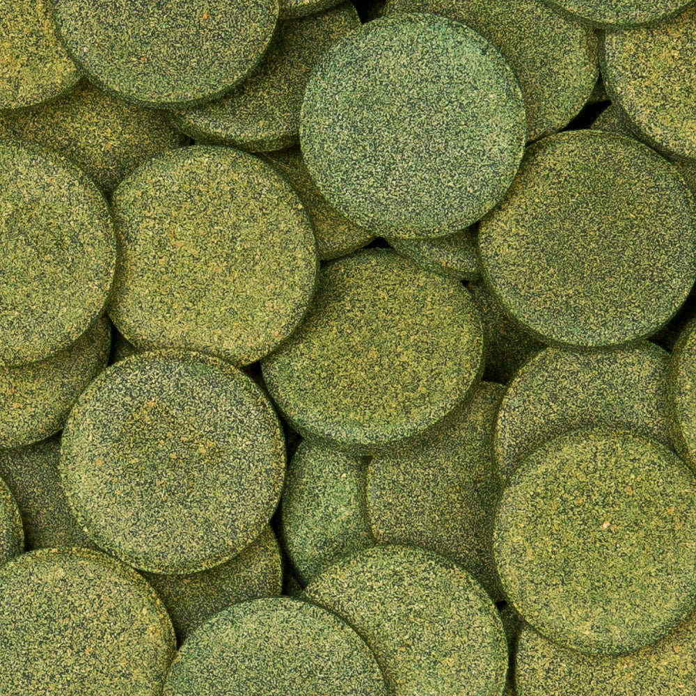 Sera Wels-Tabs XXL Nature 550g